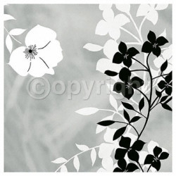 White Shadow by Kate Knight