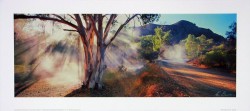 Dreamtime Parachilna Gorge by Ken Duncan