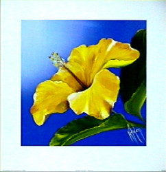 Golden Sunset - Hibiscus by Karen Foley