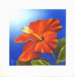 Red Velvet - Hibiscus by Karen Foley