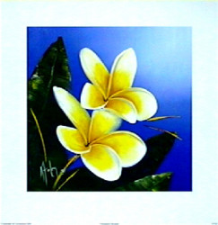 Frangipanni Bouquet by Karen Foley