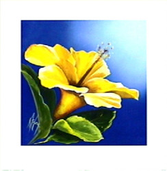Sunny Hibiscus by Karen Foley