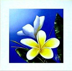 Frangipanni Scent by Karen Foley