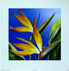 Striking Strelitzia by Karen Foley