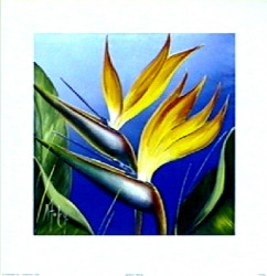 Strelitzia Attitude by Karen Foley
