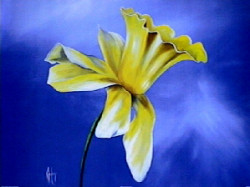 Where There's Hope by Karen Foley