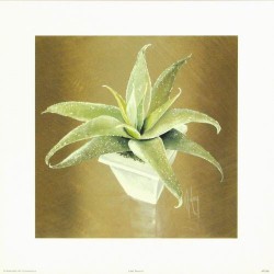 Little Terrors II by Karen Foley