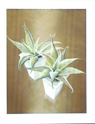 Two Terrors by Karen Foley