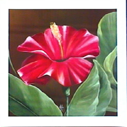 Harmony Hibiscus by Karen Foley