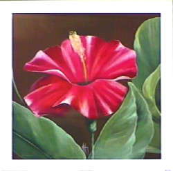 Harmony Hibiscus by Karen Foley