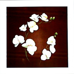 Profusion II by Karen Foley