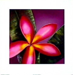 Cherry Cheer Frangipanni II