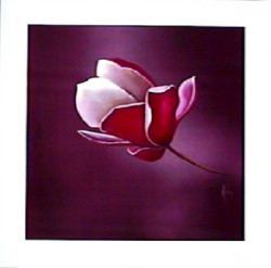 Shades of Aubergine Left