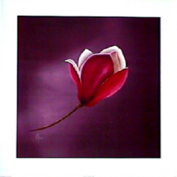 Shades Of Aubergine Right