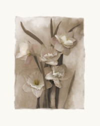 Daffodils I by Richard Sutton