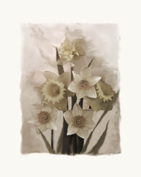 Daffodils II by Richard Sutton