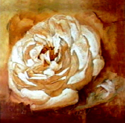 A Good Year for the Rose