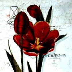 To Come into Full Flowers II