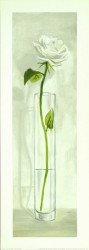 Vaso Con Rosa by Lisa Corradini