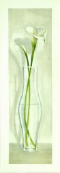 Vaso Con Calla by Lisa Corradini