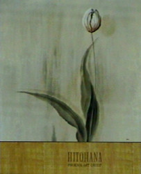 Hitohana by Robert Holman