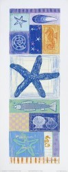 Starfish Sampler Panel by Lucy Davies