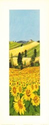 Sunflower Fields I by Lucy Davies