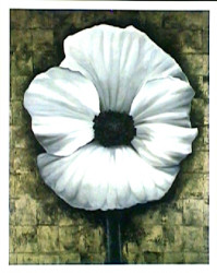 Poppy Love I by Tan Chun