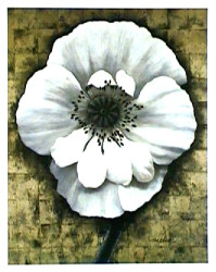 Poppy Love II by Tan Chun