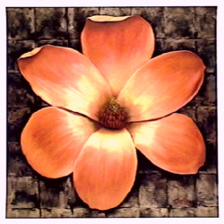 Exotic Magnolia by Tan Chun