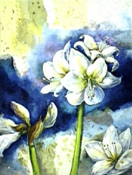 White Flower by Milene De Kleijn