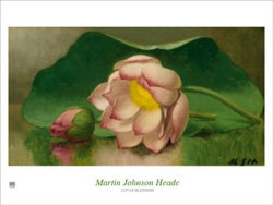 Lotus Blossom by Martin Heade