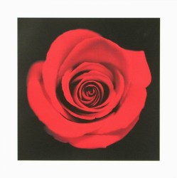 Seduction by Maria Grekos