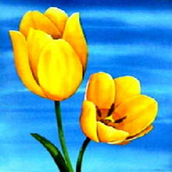 Tulipani by Maria Grazia Luffarelli