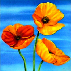 Papaveri Nel Blu by Maria Grazia Luffarelli