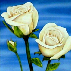 Rose Bianche by Maria Grazia Luffarelli