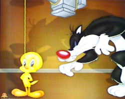 Tweety/Sylvester by Looney Tunes