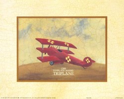 Triplane by Martin Wiscombe