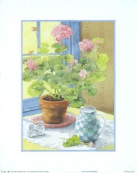Potted Geraniums I by Julia Rowntree