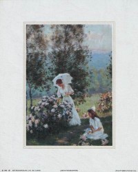 June in the Mountains