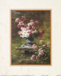 Peonies in a Garden
