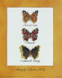 Butterfly Collection II by Martin Wiscombe