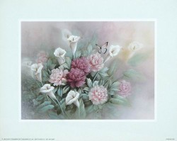 Carnations by T C Chiu