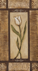 White Tulips I by Mendeli