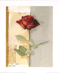 Beautiful Red Rose by Marita Stock