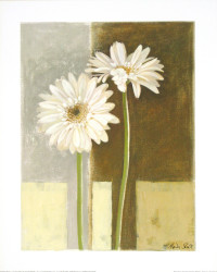 Two White Gerberas by Marita Stock