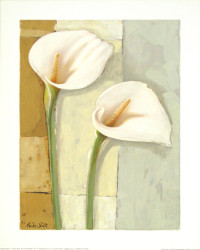 Two White Callas by Marita Stock