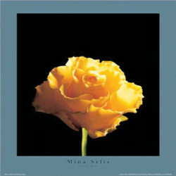 Yellow Rose by Mina Selis