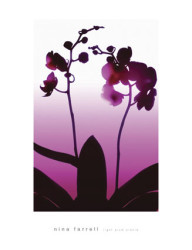 Dark Plum Orchid by Nina Farrell