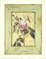 Antique Botanicals VIII by Karina Nicole